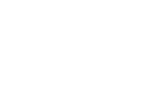 Сыр Бор